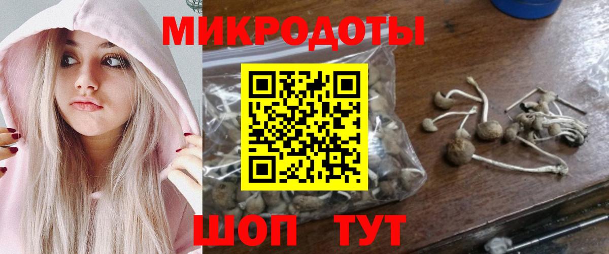 Галлюциногенные грибы Cubensis  Галлюциногенные грибы GOLDEN TEACHER  Вход с VPN  Тимашёвск 